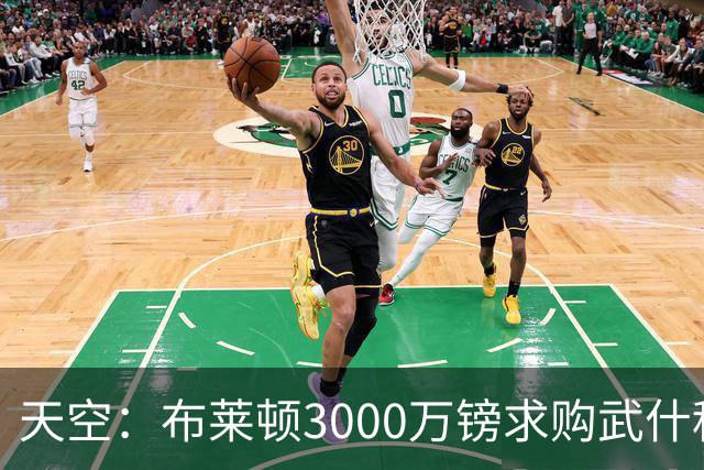 天空：布莱顿3000万镑求购武什科维奇，预计热刺对其估值超6000万