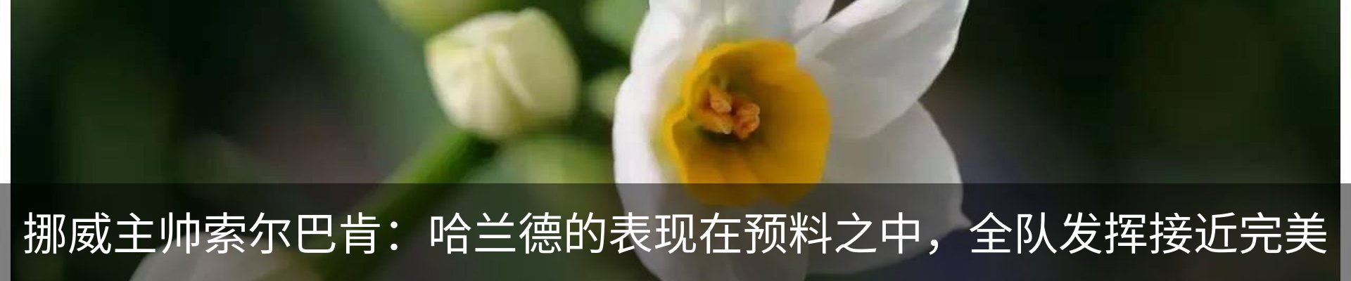 资讯动态